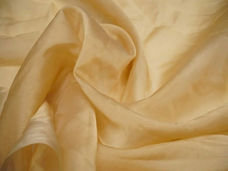 Golden Plain Viscose Organza Fabric Backless unclassified dresses